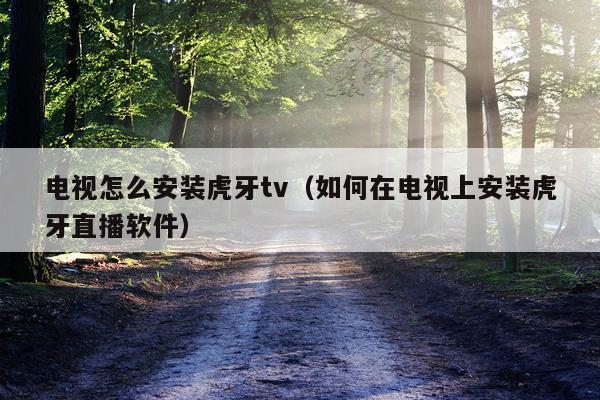电视怎么安装虎牙tv（如何在电视上安装虎牙直播软件）
