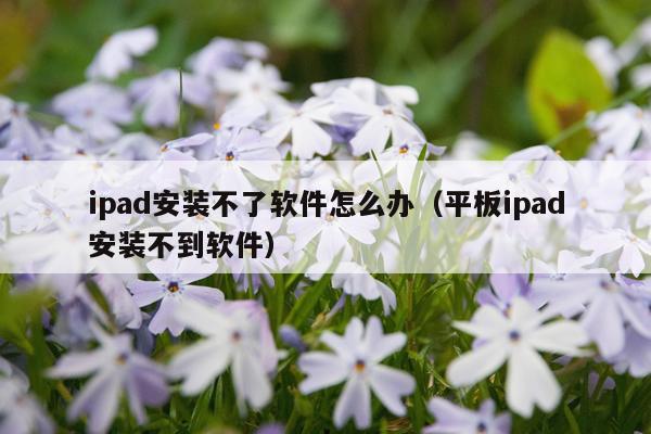 ipad安装不了软件怎么办（平板ipad安装不到软件）