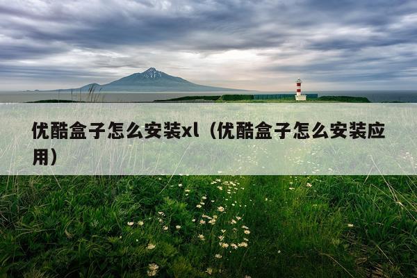 优酷盒子怎么安装xl（优酷盒子怎么安装应用）