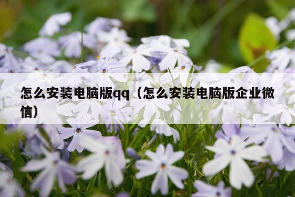 怎么安装电脑版qq（怎么安装电脑版企业微信）