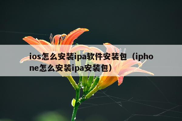 ios怎么安装ipa软件安装包（iphone怎么安装ipa安装包）