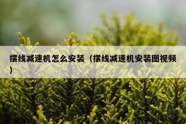摆线减速机怎么安装（摆线减速机安装图视频）