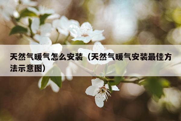 天然气暖气怎么安装（天然气暖气安装最佳方法示意图）