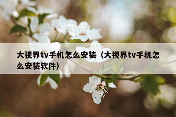 大视界tv手机怎么安装（大视界tv手机怎么安装软件）