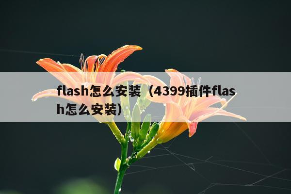 flash怎么安装（4399插件flash怎么安装）