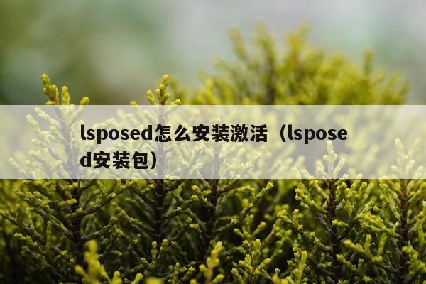 lsposed怎么安装激活（lsposed安装包）