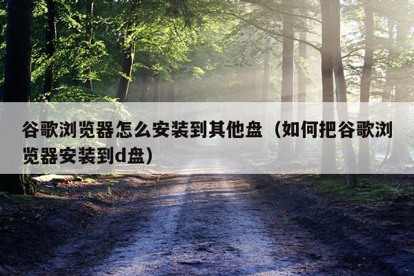 谷歌浏览器怎么安装到其他盘（如何把谷歌浏览器安装到d盘）