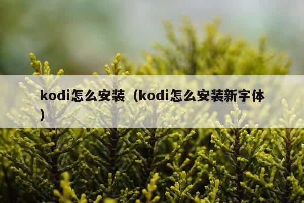 kodi怎么安装（kodi怎么安装新字体）