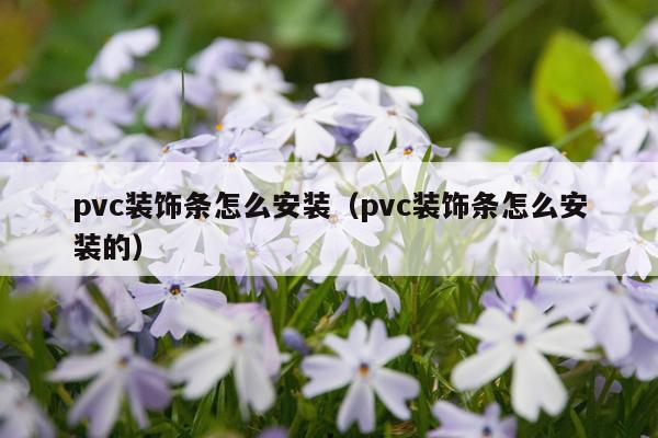 pvc装饰条怎么安装（pvc装饰条怎么安装的）