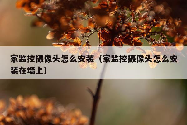 家监控摄像头怎么安装（家监控摄像头怎么安装在墙上）
