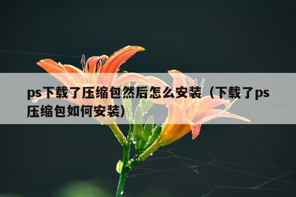 ps下载了压缩包然后怎么安装（下载了ps压缩包如何安装）