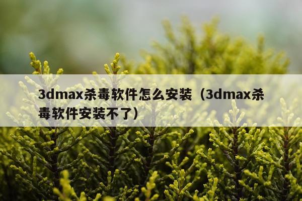 3dmax杀毒软件怎么安装（3dmax杀毒软件安装不了）