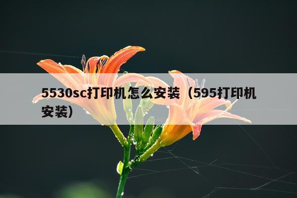 5530sc打印机怎么安装（595打印机安装）