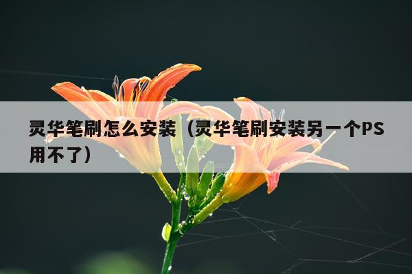 灵华笔刷怎么安装（灵华笔刷安装另一个PS用不了）
