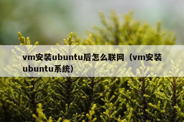vm安装ubuntu后怎么联网（vm安装ubuntu系统）