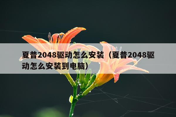 夏普2048驱动怎么安装（夏普2048驱动怎么安装到电脑）