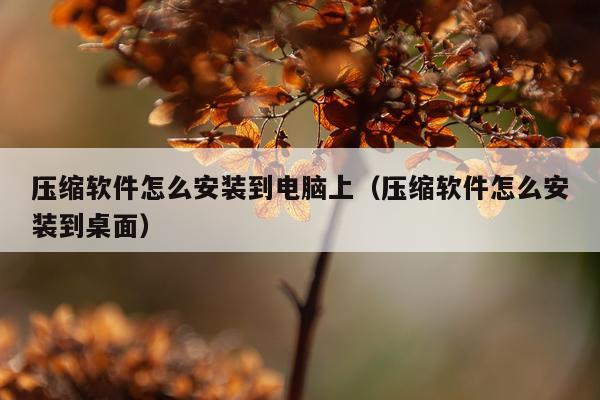 压缩软件怎么安装到电脑上（压缩软件怎么安装到桌面）