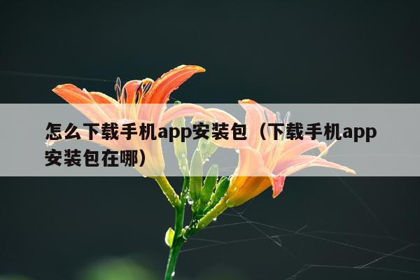 怎么下载手机app安装包（下载手机app安装包在哪）