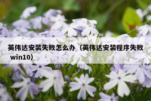 英伟达安装失败怎么办(英伟达安装程序失败 win10)