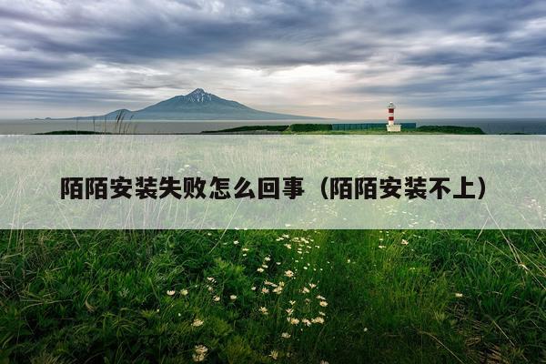 陌陌安装失败怎么回事(陌陌安装不上)