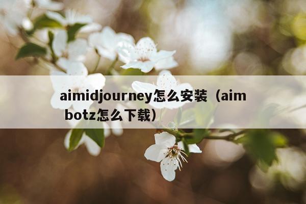 aimidjourney怎么安装(aim botz怎么下载)