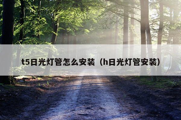 t5日光灯管怎么安装（h日光灯管安装）