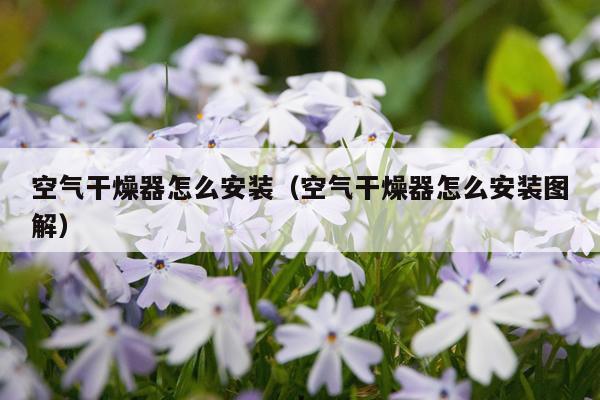 空气干燥器怎么安装(空气干燥器怎么安装图解)