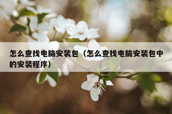 怎么查找电脑安装包(怎么查找电脑安装包中的安装程序)