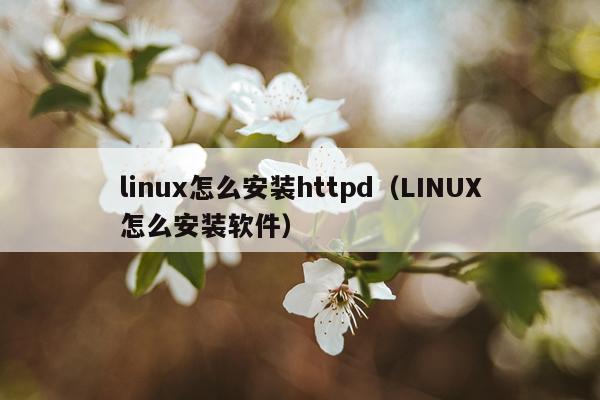 linux怎么安装httpd（LINUX怎么安装软件）
