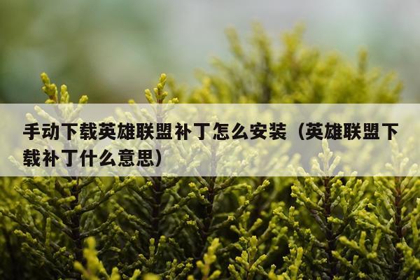 手动下载英雄联盟补丁怎么安装(英雄联盟下载补丁什么意思)
