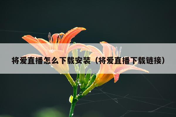 将爱直播怎么下载安装(将爱直播下载链接)