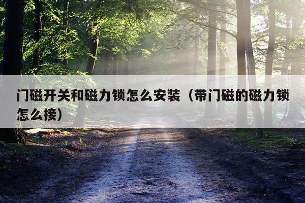 门磁开关和磁力锁怎么安装（带门磁的磁力锁怎么接）