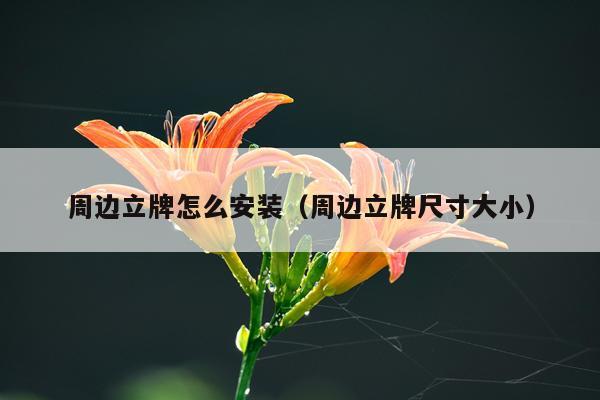 周边立牌怎么安装(周边立牌尺寸大小)