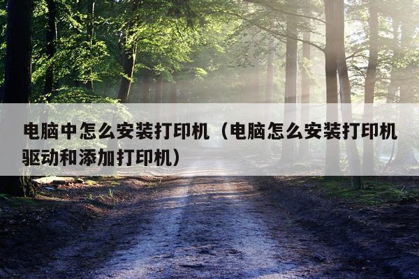 电脑中怎么安装打印机（电脑怎么安装打印机驱动和添加打印机）