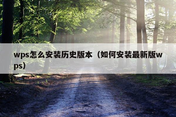 wps怎么安装历史版本(如何安装最新版wps)