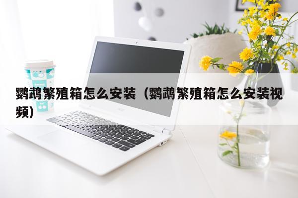 鹦鹉繁殖箱怎么安装（鹦鹉繁殖箱怎么安装视频）