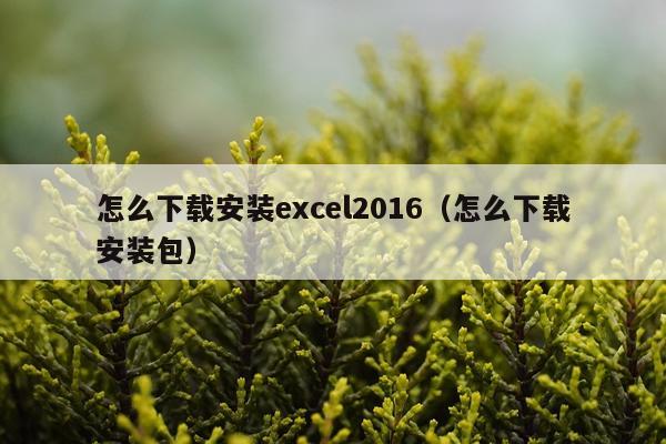 怎么下载安装excel2016（怎么下载安装包）
