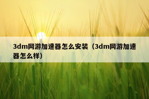 3dm网游加速器怎么安装(3dm网游加速器怎么样)