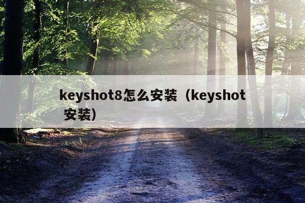 keyshot8怎么安装(keyshot 安装)