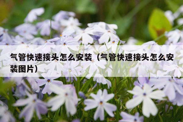 气管快速接头怎么安装（气管快速接头怎么安装图片）
