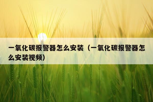 一氧化碳报警器怎么安装（一氧化碳报警器怎么安装视频）