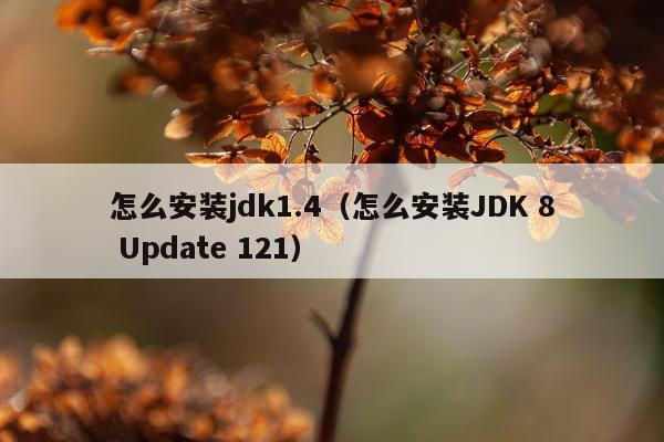 怎么安装jdk1.4(怎么安装JDK 8 Update 121)