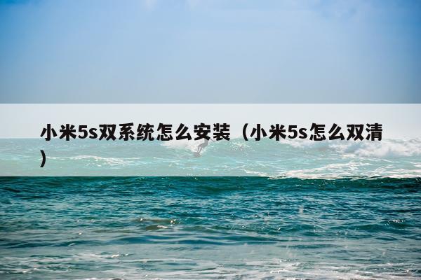小米5s双系统怎么安装(小米5s怎么双清)