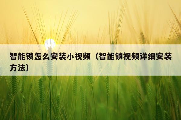 智能锁怎么安装小视频(智能锁视频详细安装方法)