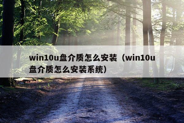 win10u盘介质怎么安装(win10u盘介质怎么安装系统)