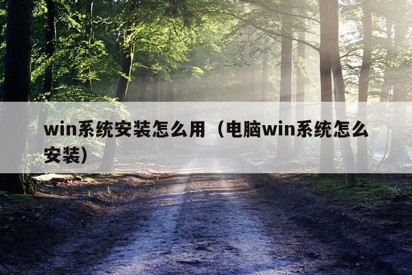win系统安装怎么用(电脑win系统怎么安装)