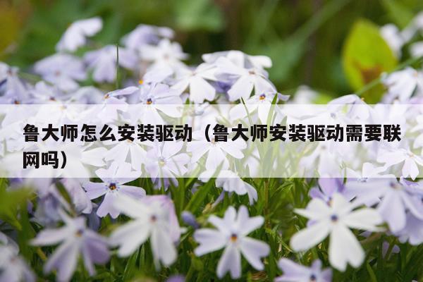 鲁大师怎么安装驱动(鲁大师安装驱动需要联网吗)