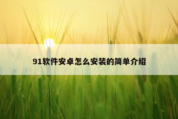 91软件安卓怎么安装的简单介绍