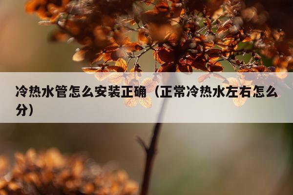 冷热水管怎么安装正确（正常冷热水左右怎么分）