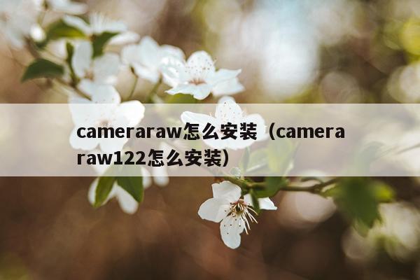 cameraraw怎么安装(cameraraw122怎么安装)